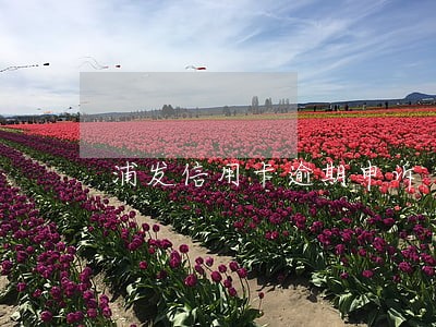 浦发信用卡逾期申诉