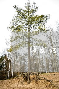 浦发信用卡逾期电话 浦发信用卡逾期电话