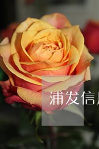 浦发信用卡逾期电话一直来电 浦发信用卡逾期电话一直来电