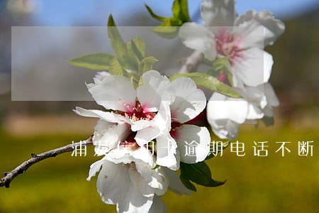 浦发信用卡逾期电话不断 浦发信用卡逾期电话不断