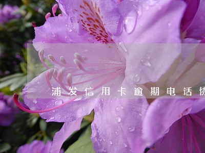 浦发信用卡逾期电话协商成功 浦发信用卡逾期电话协商成功