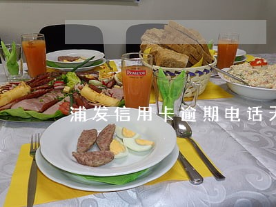 浦发信用卡逾期电话天天打