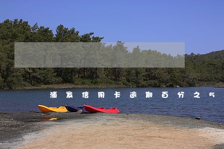 浦发信用卡逾期百分之5 浦发信用卡逾期百分之5