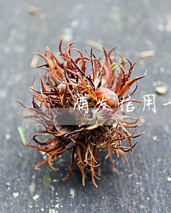 浦发信用卡逾期的朋友们怎么处理