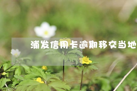 浦发信用卡逾期移交当地分中心 浦发信用卡逾期移交当地分中心