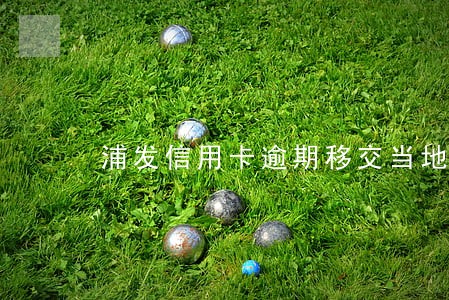 浦发信用卡逾期移交当地分局 浦发信用卡逾期移交当地分局