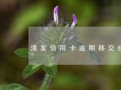 浦发信用卡逾期移交经侦支队 浦发信用卡逾期移交经侦支队