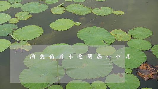 浦发信用卡逾期第一个月 浦发信用卡逾期第一个月