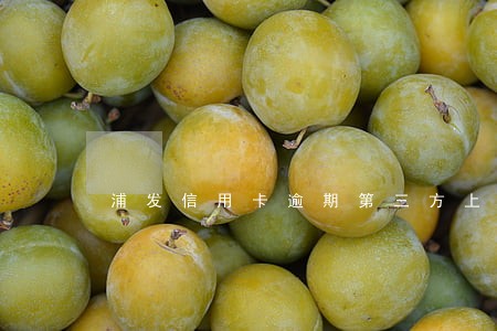浦发信用卡逾期第三方上门催收