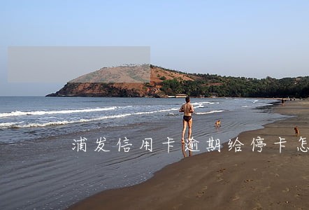 浦发信用卡逾期给停卡怎么办 浦发信用卡逾期给停卡怎么办