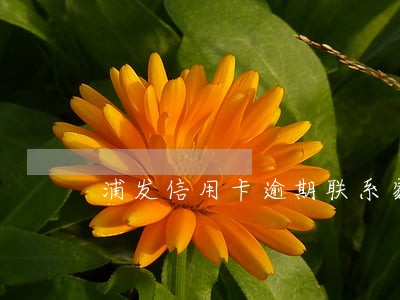 浦发信用卡逾期联系家人上门招商 浦发信用卡逾期联系家人上门招商