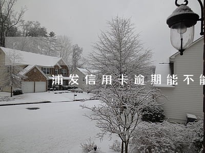 浦发信用卡逾期能不能分期