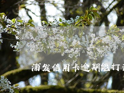 浦发信用卡逾期能打亲属电话吗