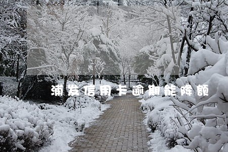 浦发信用卡逾期能降额 浦发信用卡逾期能降额