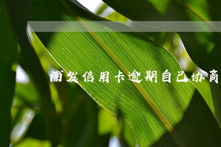 浦发信用卡逾期自己协商