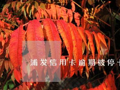 浦发信用卡逾期被停卡怎么办