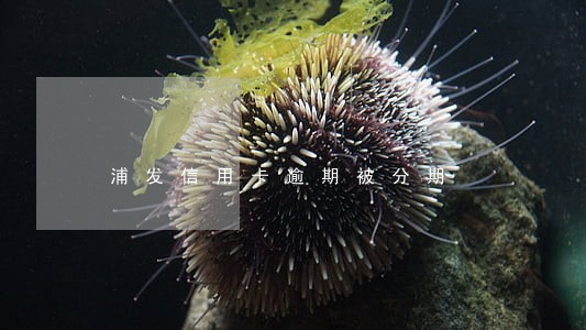 浦发信用卡逾期被分期 浦发信用卡逾期被分期