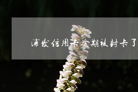 浦发信用卡逾期被封卡了 浦发信用卡逾期被封卡了