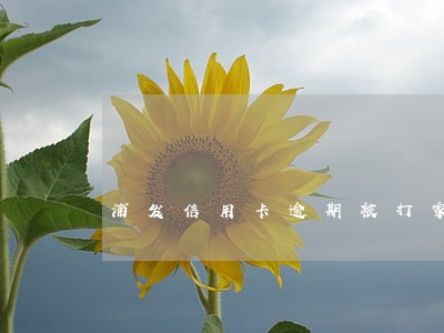 浦发信用卡逾期被打家人电话上门