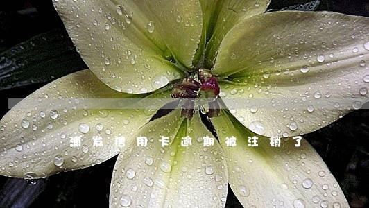 浦发信用卡逾期被注销了