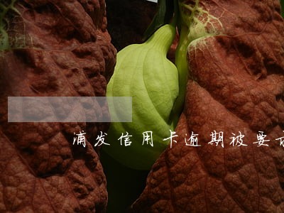 浦发信用卡逾期被要求全额还款 浦发信用卡逾期被要求全额还款