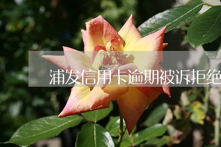 浦发信用卡逾期被诉拒绝协商 浦发信用卡逾期被诉拒绝协商