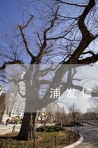 浦发信用卡逾期被起诉流程 浦发信用卡逾期被起诉流程
