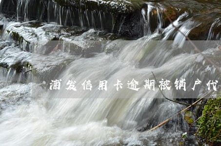 浦发信用卡逾期被销户代表 浦发信用卡逾期被销户代表