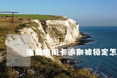 浦发信用卡逾期被锁定怎么办