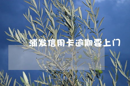 浦发信用卡逾期要上门 浦发信用卡逾期要上门