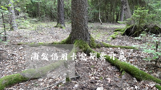 浦发信用卡逾期要开庭 浦发信用卡逾期要开庭