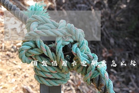 浦发信用卡逾期要怎么处理