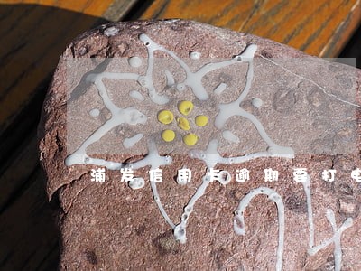 浦发信用卡逾期要打电话给家人 浦发信用卡逾期要打电话给家人
