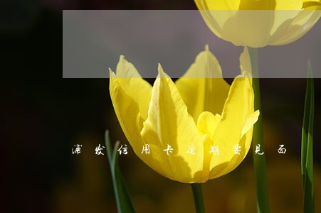 浦发信用卡逾期要见面 浦发信用卡逾期要见面
