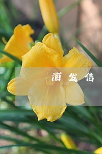 浦发信用卡逾期说上门 浦发信用卡逾期说上门