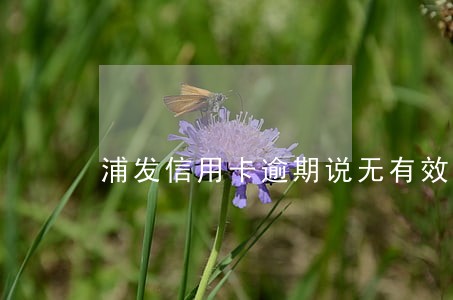 浦发信用卡逾期说无有效卡 浦发信用卡逾期说无有效卡