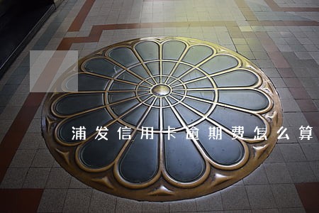 浦发信用卡逾期费怎么算