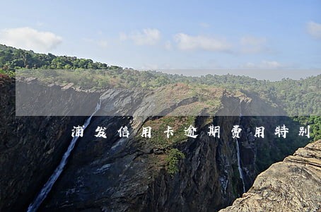 浦发信用卡逾期费用特别高 浦发信用卡逾期费用特别高