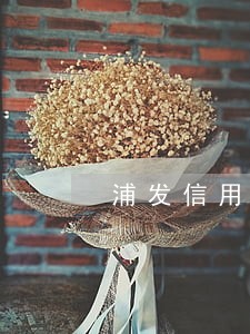 浦发信用卡逾期超过一年怎么还款