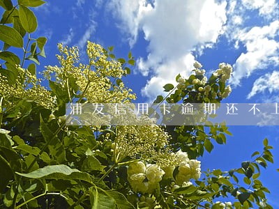 浦发信用卡逾期还不上 浦发信用卡逾期还不上