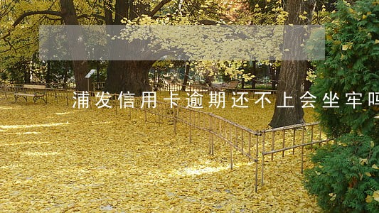 浦发信用卡逾期还不上会坐牢吗
