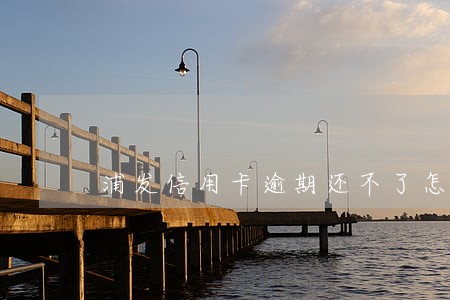 浦发信用卡逾期还不了怎么办 浦发信用卡逾期还不了怎么办