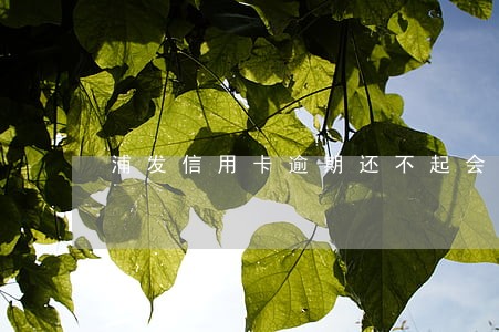 浦发信用卡逾期还不起会怎么样 浦发信用卡逾期还不起会怎么样