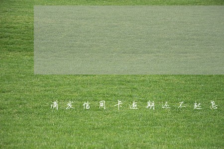浦发信用卡逾期还不起怎么办 浦发信用卡逾期还不起怎么办