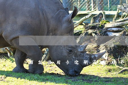 浦发信用卡逾期还了用不成