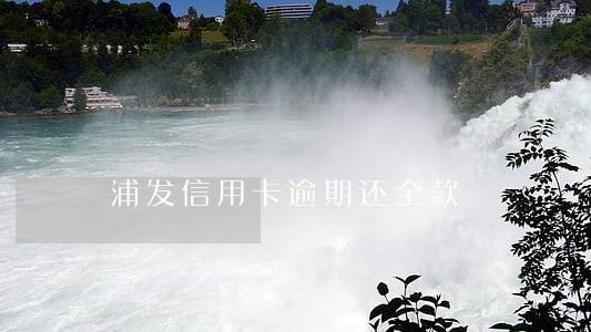 浦发信用卡逾期还全款