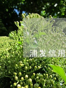 浦发信用卡逾期还全额 浦发信用卡逾期还全额