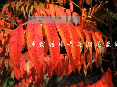 浦发信用卡逾期还最低冻结