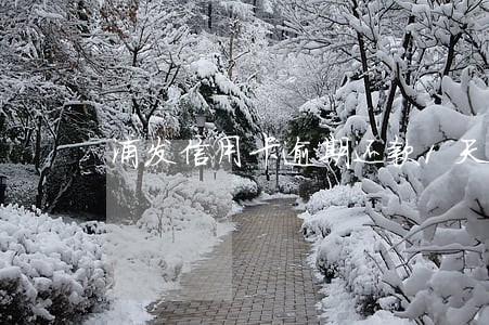 浦发信用卡逾期还款1天 浦发信用卡逾期还款1天