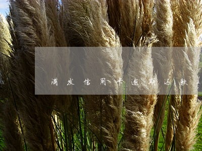 浦发信用卡逾期还款20天